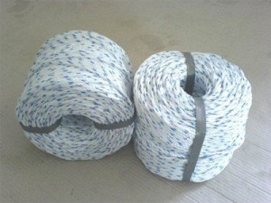 pp-rope-photo1-20190409162022